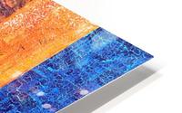 Studying The Ground 1 HD Metal print