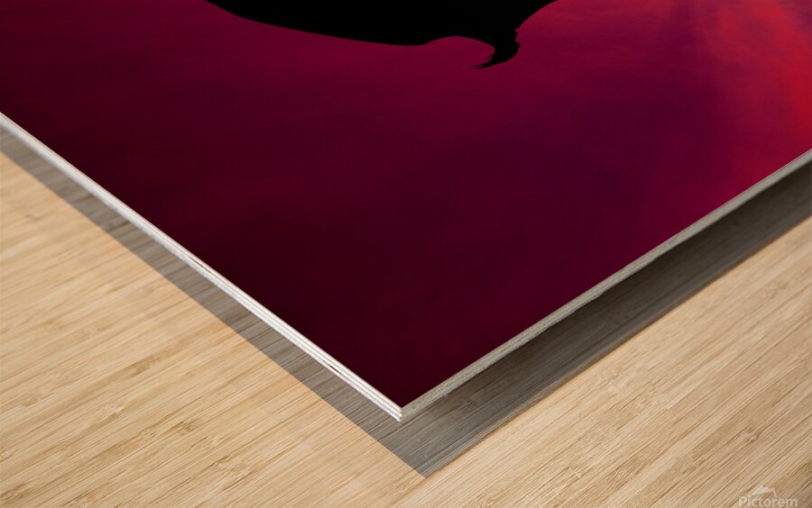 Asta Devil Wood print