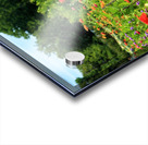 Sunflower Series 2 Acrylic print