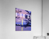 Early Morning at the Reflectimg Pool Washington M Acrylic Print