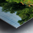 Sunflower Series 2 Metal print