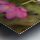 White Too Metal print