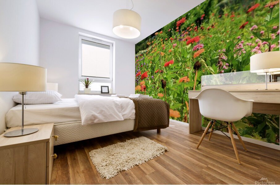 Sunflower Series 2 Mural print