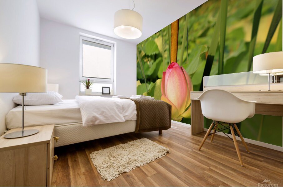 Lotus Bud Mural print
