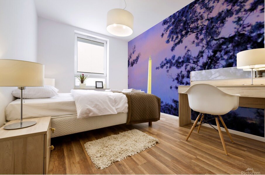 Early Morning at the Reflectimg Pool Washington M Mural print