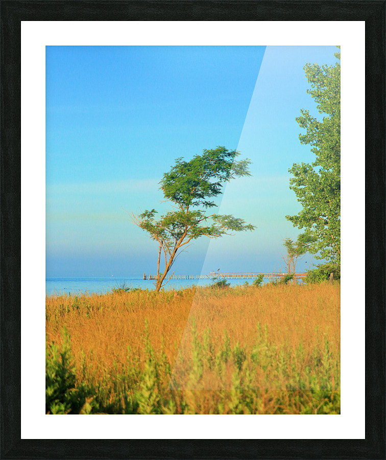 Bent by the Wind Picture Frame print