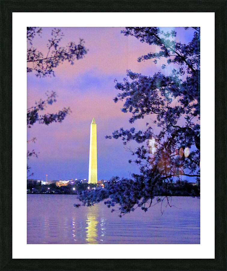 Early Morning at the Reflectimg Pool Washington M Picture Frame print