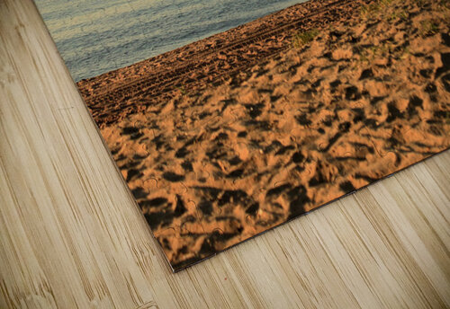 Midland Beach Morning Walker Bob McCulloch puzzle
