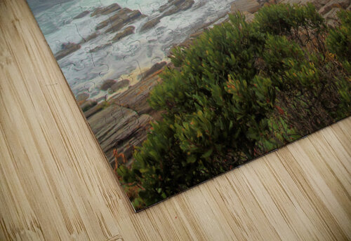 The Sea Bob McCulloch puzzle