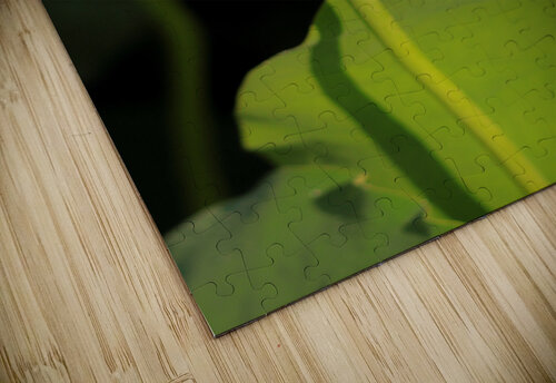 Lotus E Bob McCulloch puzzle