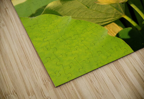Lotus Bud Bob McCulloch puzzle
