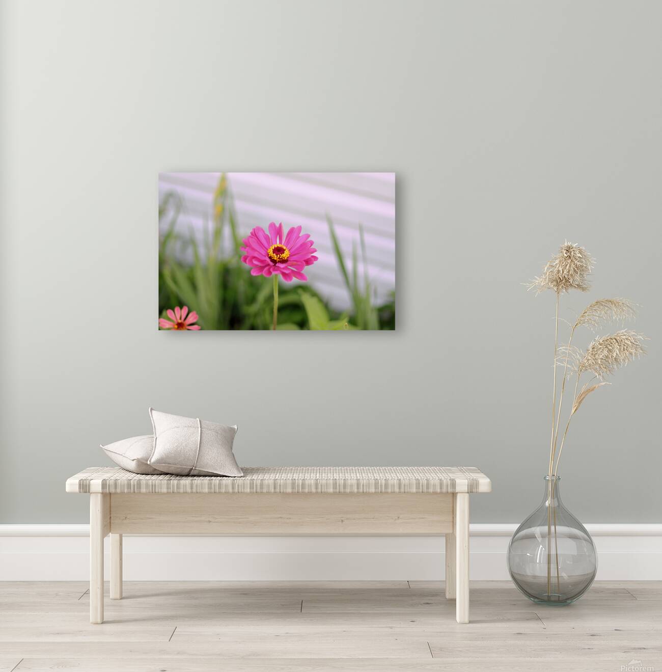 Pink Lady Reproduction