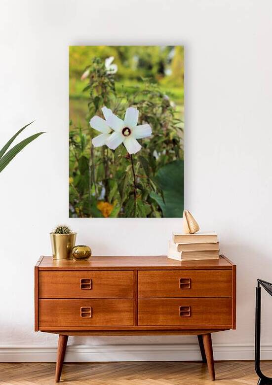 White  Reproduction