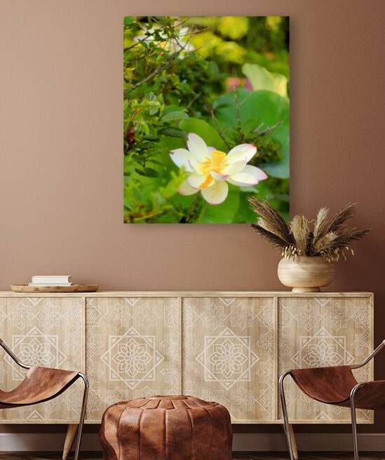 Water Lily Reproduction