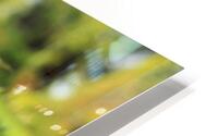White  HD Metal print