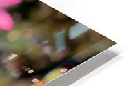 White Too HD Metal print