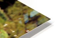 Lotus I HD Metal print