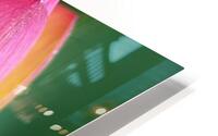 Lotus C HD Metal print