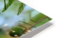 Fruit HD Metal print