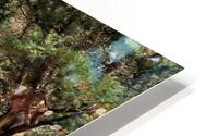 NC12 Hatteras Path HD Metal print