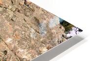Compass Rock HD Metal print