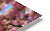 Cherry Blossom Branch HD Metal print