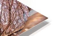 Bridge View HD Metal print