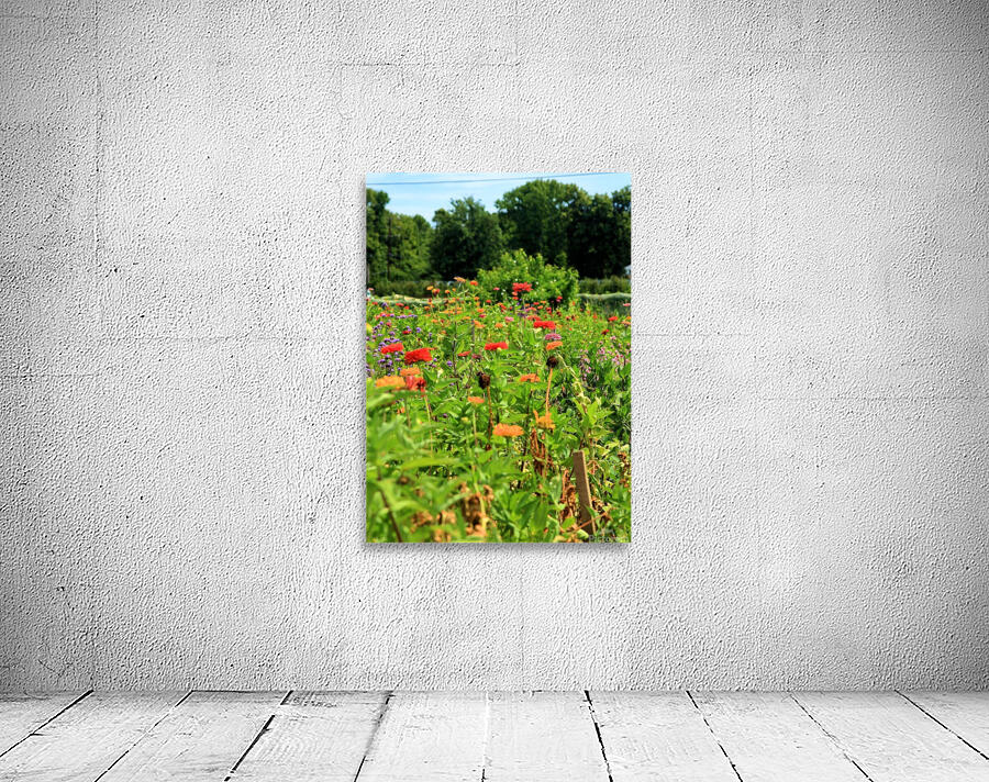 Sunflower Series 2 Wall Preview