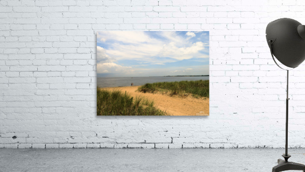 Beach Path Wall Preview