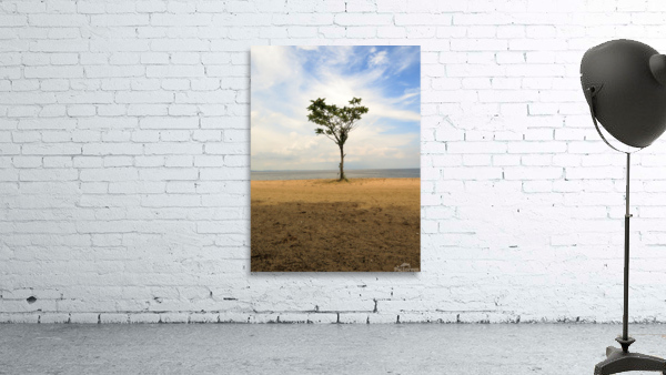 Lonely Tree Wall Preview