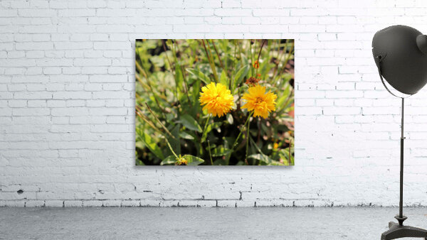 Yellow Bloom Wall Preview