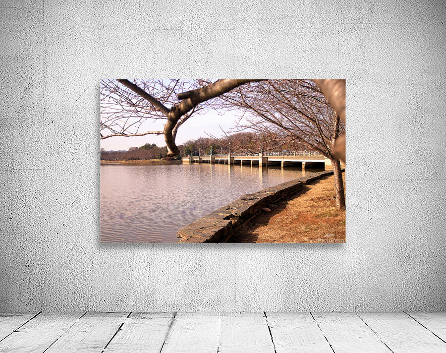 Bridge View Wall Preview