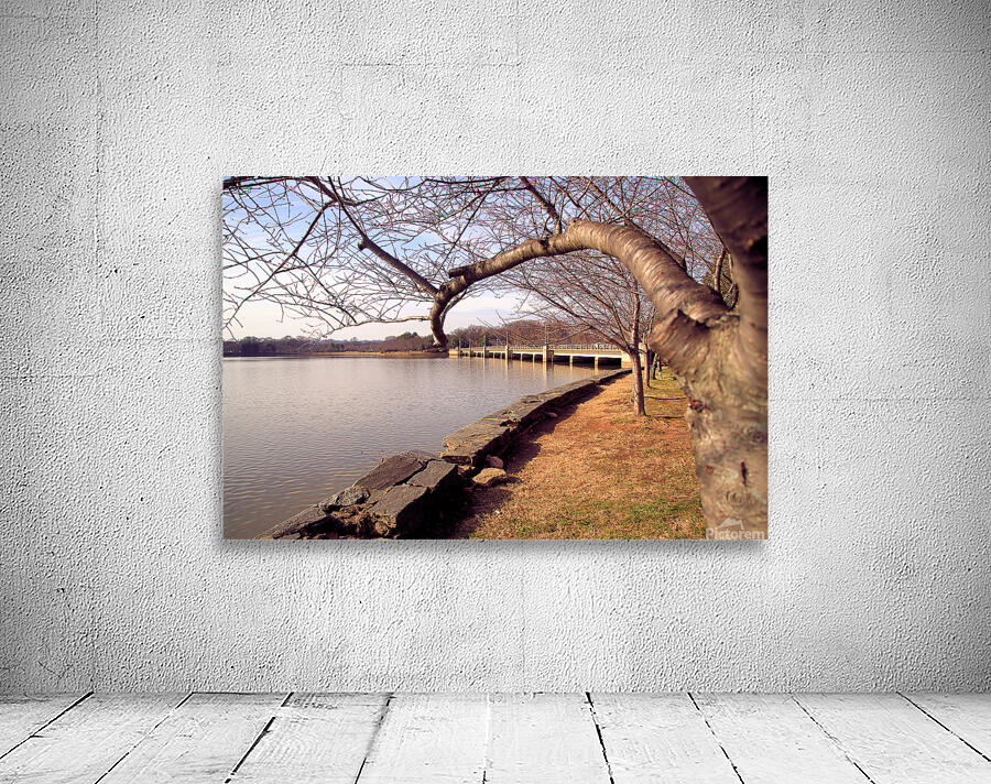 Winter at the Pool Wall Preview