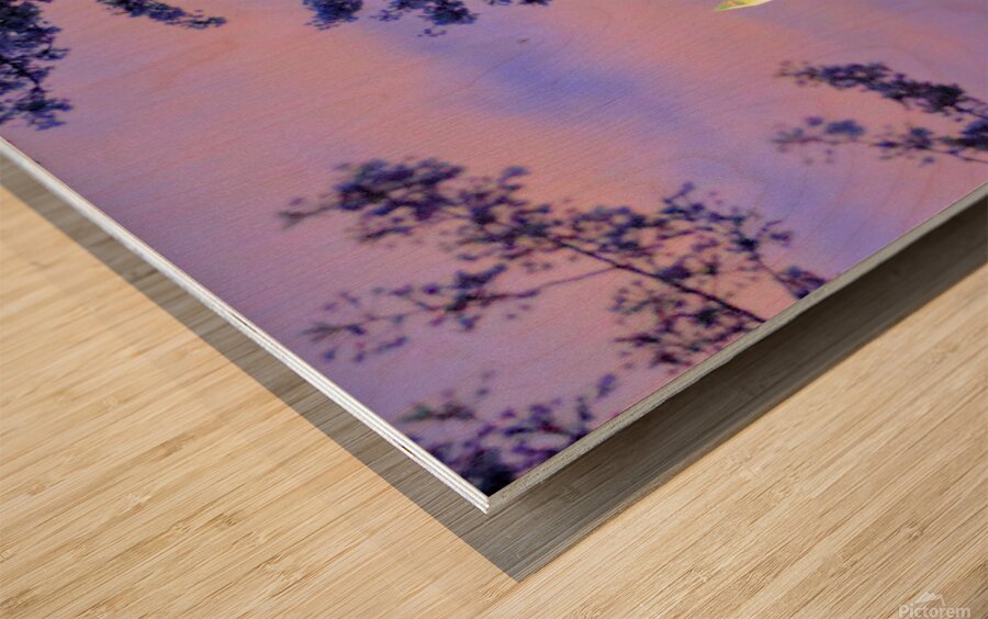 Early Morning at the Reflectimg Pool Washington M Wood print