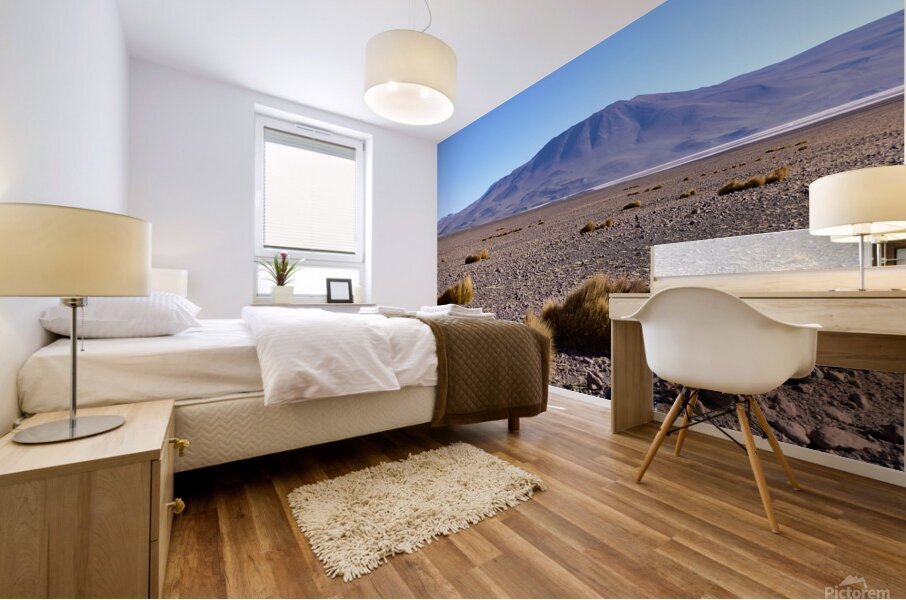 Bolivia Avaroa National Park 3 Mural print