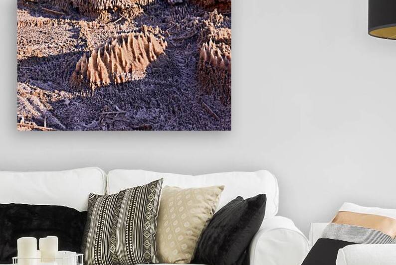 Unique salt formations at the Dead Sea shore in Jordan resemblin by Artur Nyk