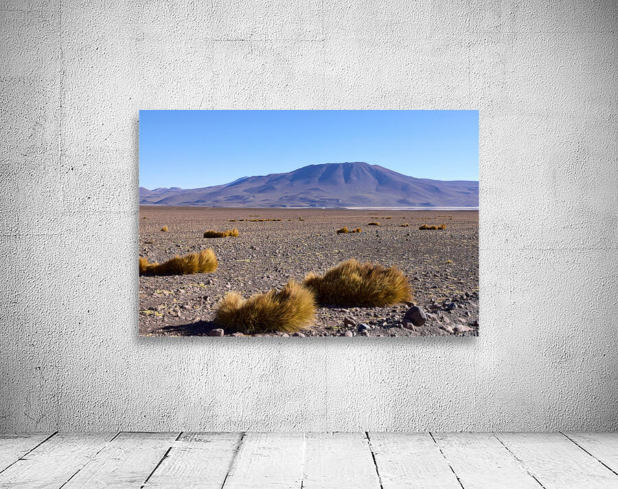 Bolivia Avaroa National Park 3 Wall Preview