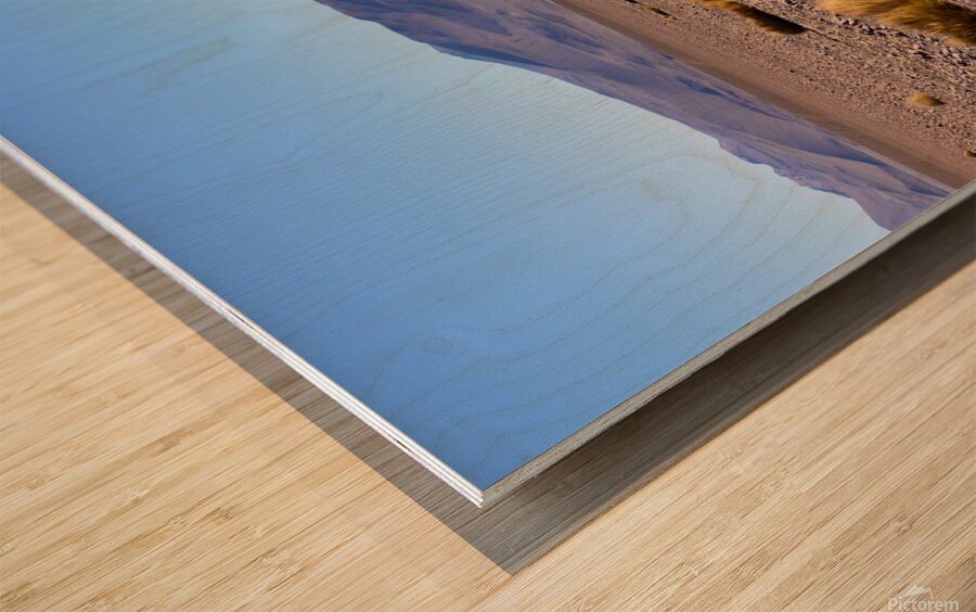 Bolivia Avaroa National Park 3 Wood print