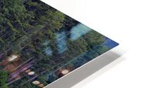 At the lake HD Metal print
