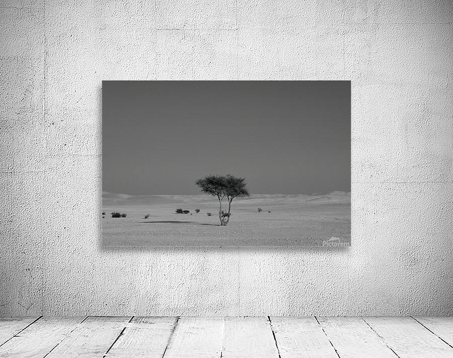 Alone in the desert Wall Preview