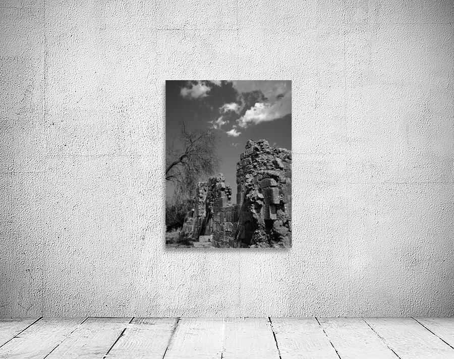 Zaraka abbey Wall Preview