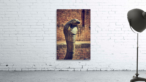 Bronze cobra Wall Preview