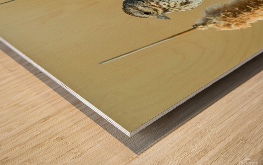 Z8P 9853 M Wood print