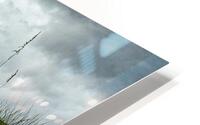 Anticipate HD Metal print