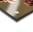 The Laughing Chimpanzee Acrylic print