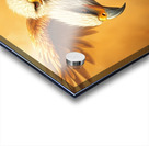 A fantasy painting of a double eagle Acrylic print