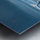 Narwhal’s Unicorn Moment Metal print