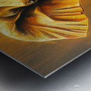 Classic oil painting style a luxurious sparkling Metal print