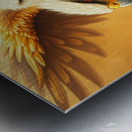 A fantasy painting of a double eagle Metal print