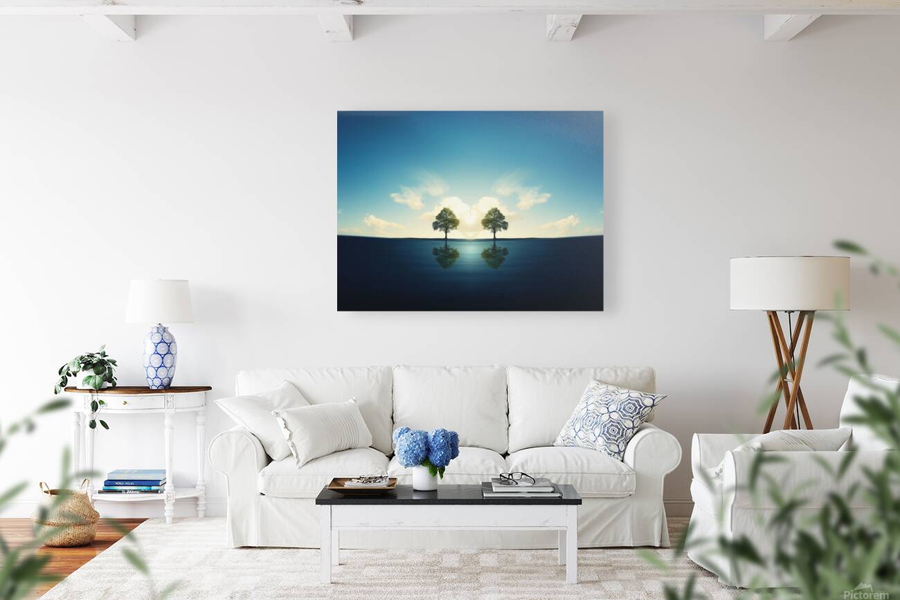 A Heart-Shaped Reflection in Water Reproduction